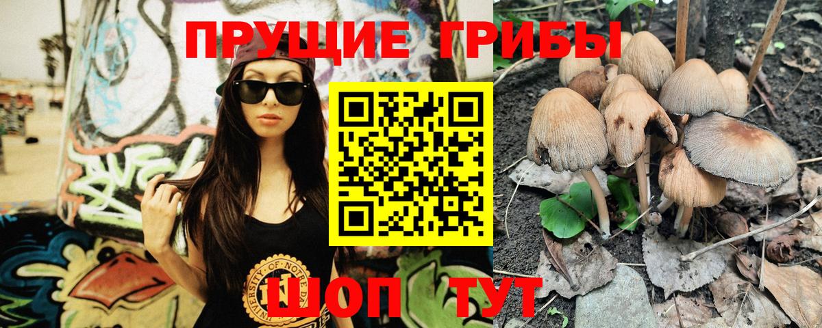 Гусиноозёрск  Галлюциногенные грибы Cubensis  Вход с VPN  Галлюциногенные грибы мухоморы 