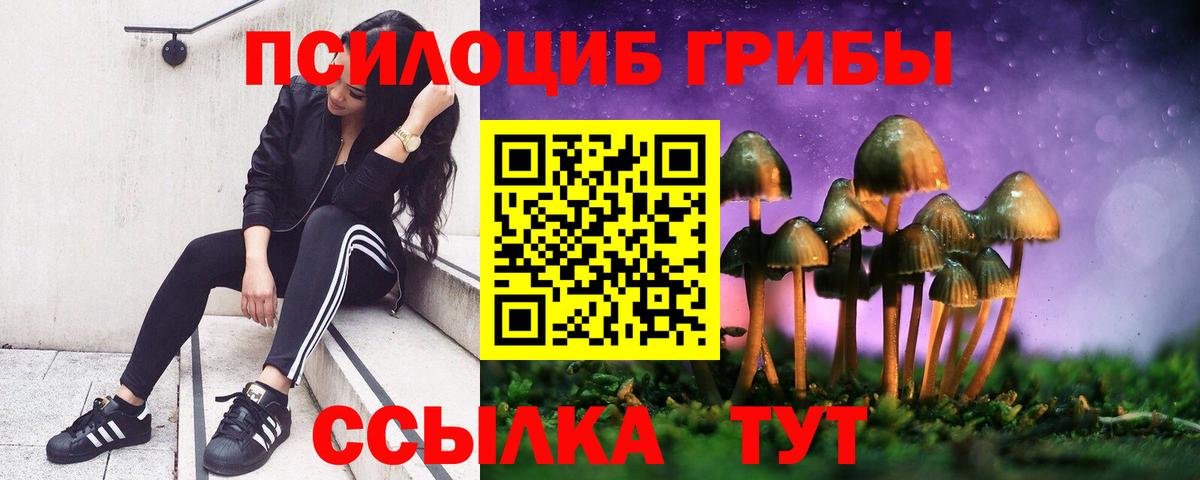 Галлюциногенные грибы мухоморы Гусиноозёрск